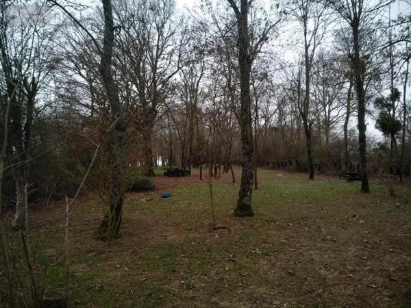 Achat - Terrain de loisirs, bois, étangs Saint-Outrille 18310 3025 m 2