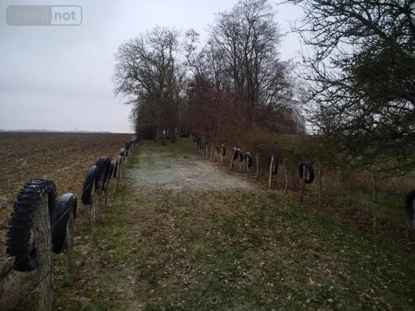 Achat - Terrain de loisirs, bois, étangs Saint-Outrille 18310 3025 m 2