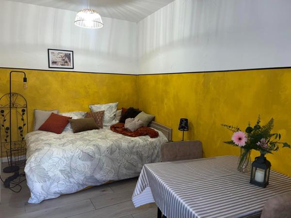 Studio 16,45m2 en rez de chaussée