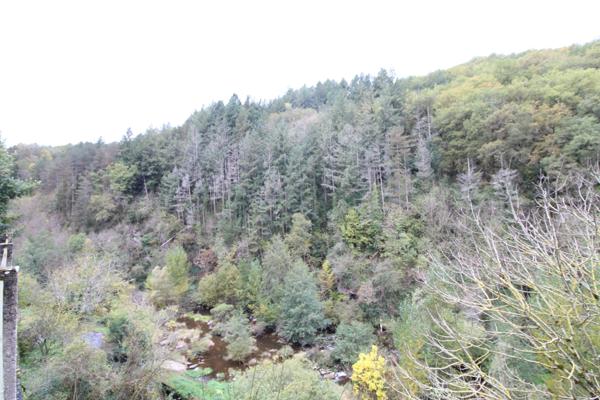 Saint-Sernin-sur-Rance (12380) MAISON DE VILLAGE 79m² – TERRASSE ET CAVE - SAINT-SERNIN-SUR-RANCE