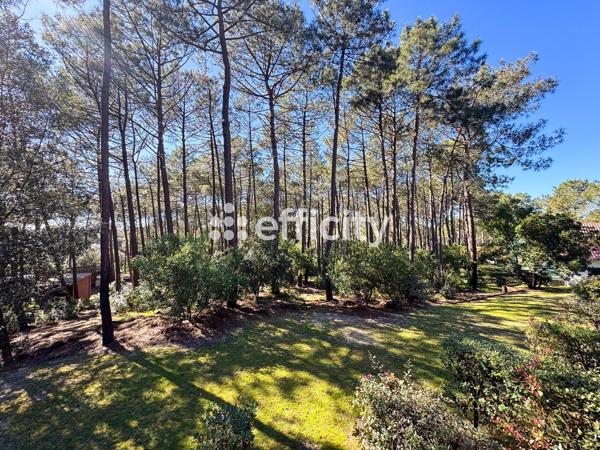 Appartement 2 pièces - 32 m²