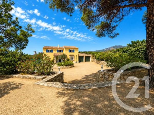 Maison à vendre  7 pièces - 305,09 m 2   CALENZANA  - 202