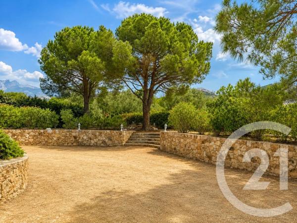 Maison à vendre  7 pièces - 305,09 m 2   CALENZANA  - 202