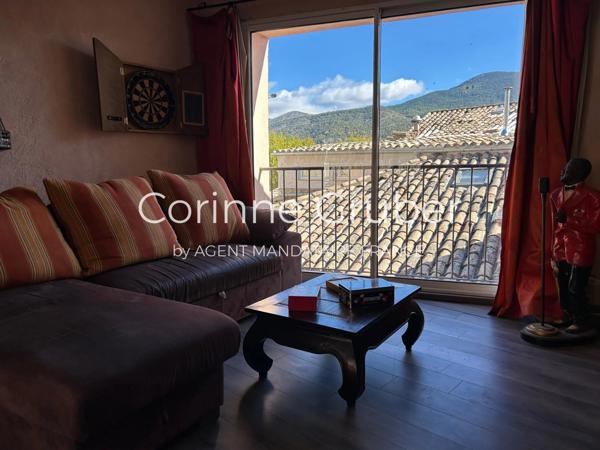 Immobilier Mézel (04270) – Appartement 140m2 – 171 000 €