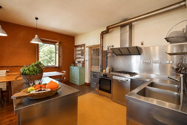Maison 8 chambre(s) de luxe à vendre - Châteauroux-les-Alpes, Hautes-Alpes - 05