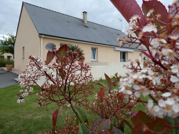 Maison de plain pied avec 4 chambres, une piscine et un terrain clos. St fraimbault de prières Maison de plain pied avec 4 chambres, une piscine et un terrain clos. St fraimbault de prières
