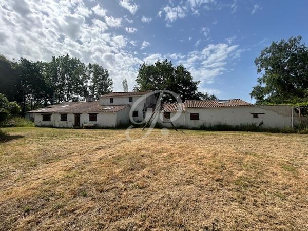 Deux maisons campagne Coëx 180 m2 et 3600m2 de terrain Toutes les caractéristiques