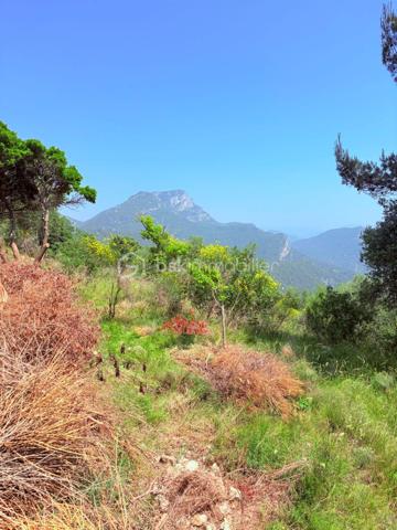 Terrain de 1 562 m²