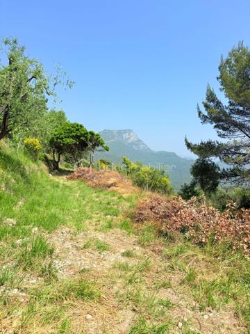 Terrain de 1 562 m²