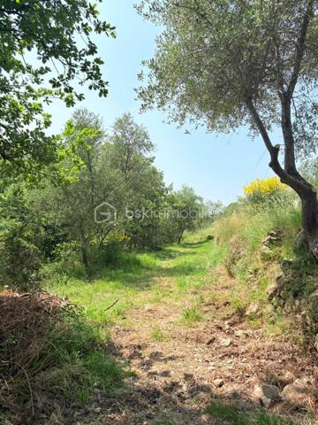 Terrain de 1 562 m²