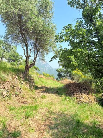 Terrain de 1 562 m²
