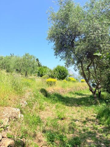 Terrain de 1 562 m²