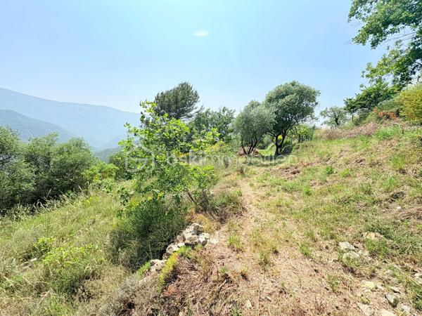 Terrain de 1 562 m²