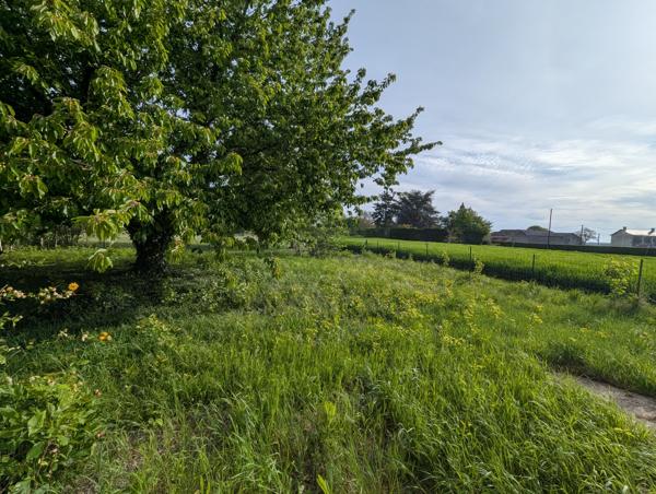 Maison 4 pièces 78 m²