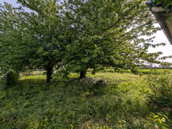 Maison 4 pièces 78 m²