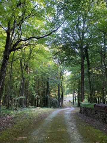 Achat - Maison Châtillon-sur-Indre 36700 9 pièces 258 m 2 50 m 2