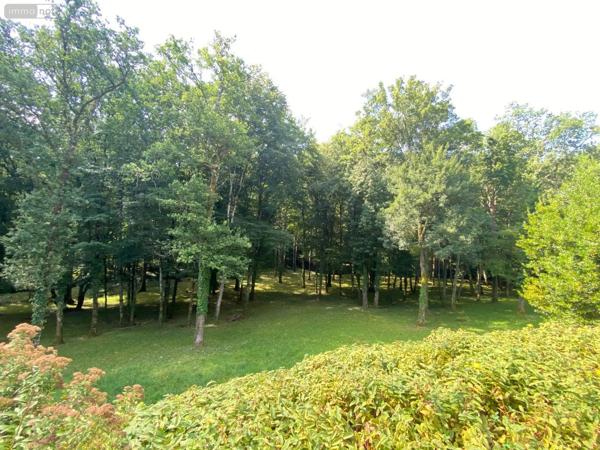 Achat - Maison Châtillon-sur-Indre 36700 9 pièces 258 m 2 50 m 2