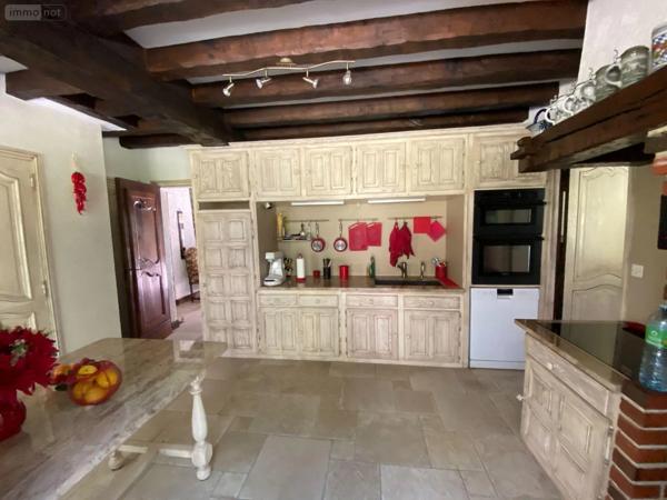 Achat - Maison Châtillon-sur-Indre 36700 9 pièces 258 m 2 50 m 2