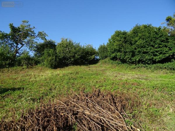 Terrain à Batir à vendre à Prouilly dans la Marne (51140), ref : 51082-2239