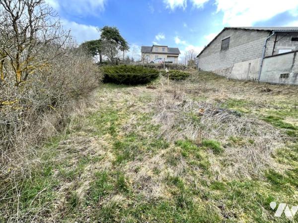 BELLE DEMEURE EN PIERRE - BEAU POTENTIEL Saint-Chély-d’Apcher