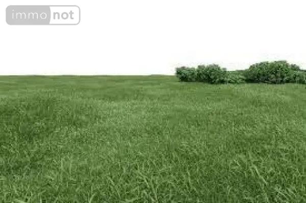 Achat - Terrain de loisirs, bois, étangs | Terrain non constructible Gouville-sur-Mer 50200 4241 m 2