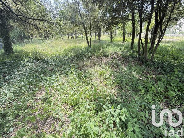 Terrain à vendre 2 002 m² Saint-Restitut