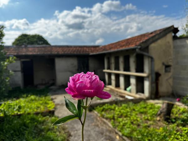Commerces et école à pied.