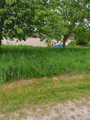 Vente / Terrain constructeur