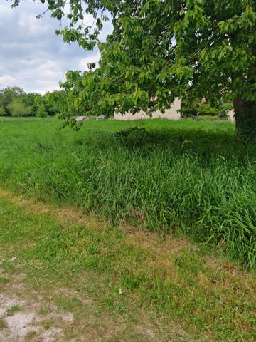 Vente / Terrain constructeur