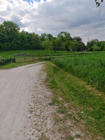 Vente / Terrain constructeur