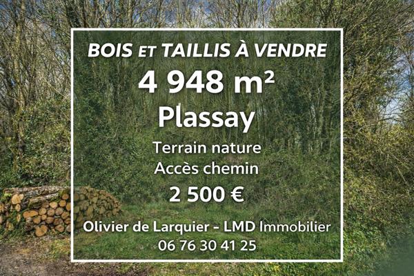 Parcelle de bois Plassay (17250)