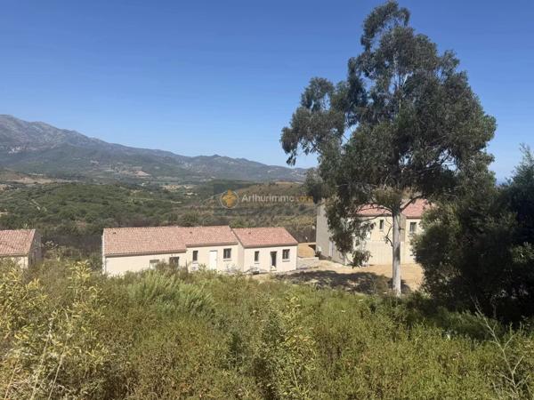 Vente                                                      Appartement
                        
                     4 pièces                      76 m2                     à Olmeta-Di-Tuda