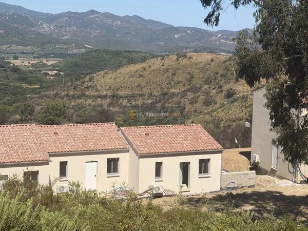 Vente                                                      Appartement
                        
                     4 pièces                      76 m2                     à Olmeta-Di-Tuda