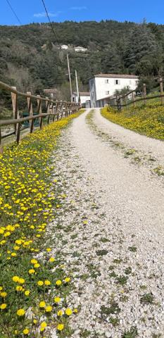 Ardèche : Vallée de l'Eyrieux Demeure de prestige  6 pièce(s) 200 m2 sur 10 hectares.