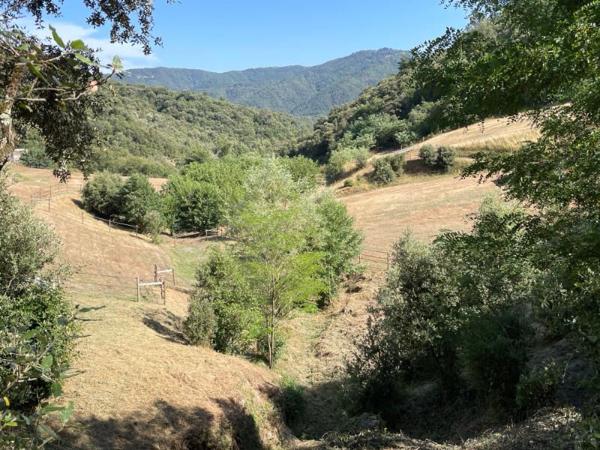 Ardèche : Vallée de l'Eyrieux Demeure de prestige  6 pièce(s) 200 m2 sur 10 hectares.