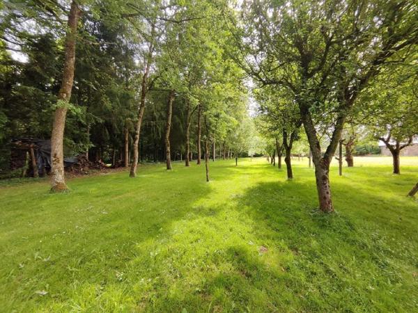 Propriete à vendre à Carentoir dans le Morbihan (56910), ref : 009/1163