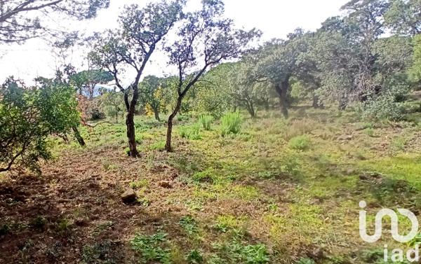 Terrain à vendre 1 700 m² Sainte-Maxime