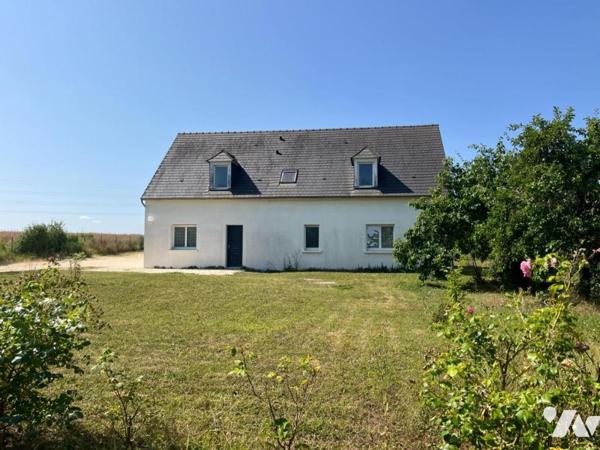 Maison T6 - Piscine - Dépendance- Jardin - 2132m² cadastré.