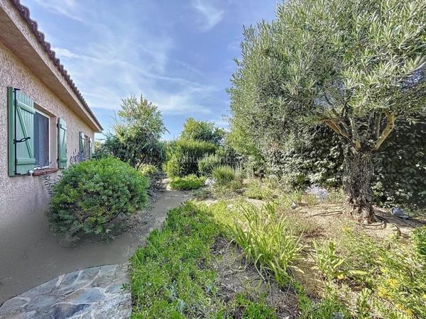 Vente Maison 5 pièces 113 m2 à Calenzana