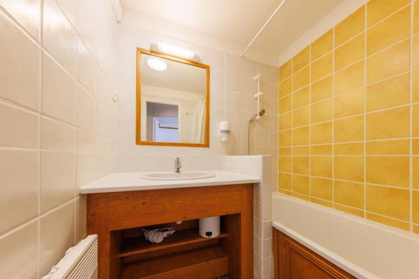 Vente appartement Besse-et-Saint-Anastaise (63610) 2 pièces 29.83m²