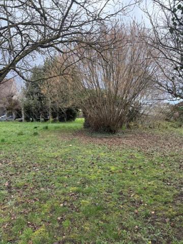 terrain à construire vendu viabilisé et tout clôturé de 740 m²