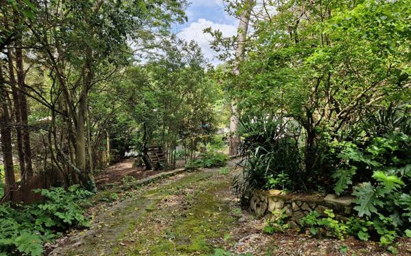 Maison à vendre    5 pièces • 141,10 m2 Roquefort-les-Pins