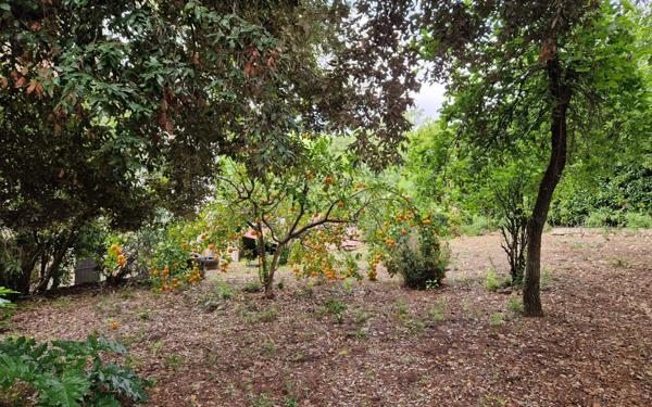 Maison à vendre    5 pièces • 141,10 m2 Roquefort-les-Pins