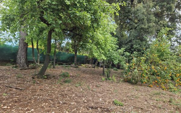 Maison à vendre    5 pièces • 141,10 m2 Roquefort-les-Pins