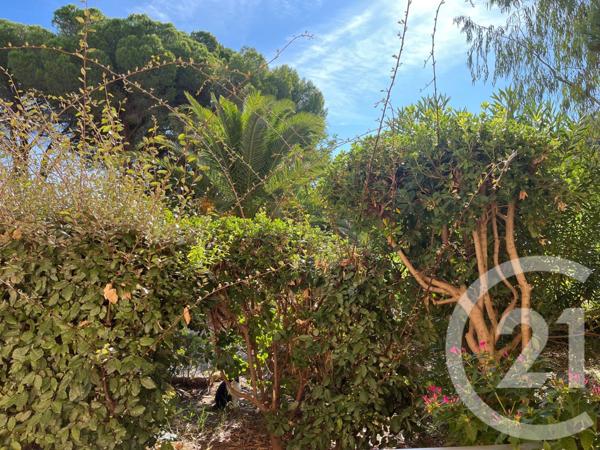 Appartement T3 à vendre  3 pièces - 34,68 m2 BORMES LES MIMOSAS - 83