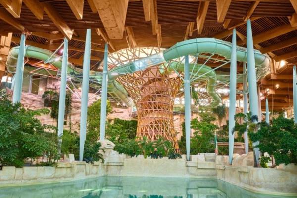 INVESTISSEMENT LOCATIF  BAILLY - ROMAINVILLIERS  Résidence Center Parcs Villages Nature Paris - 6.61% de rentabilité