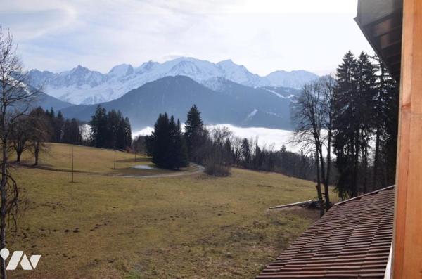 Plateaux bruts au sein d'une résidence entièrement rénovée, vue Mont-Blanc