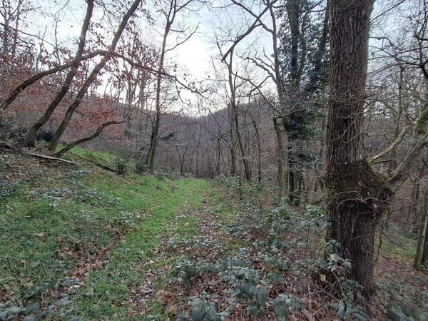 Terrain de loisirs - Chasselay