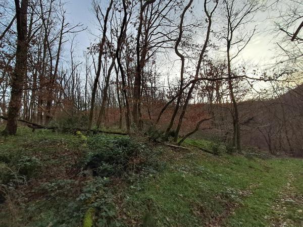 Terrain de loisirs - Chasselay