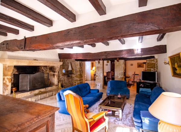 Propriété d'une surface habitable d'environ 350m2 avec piscine, pool house et dépendances.